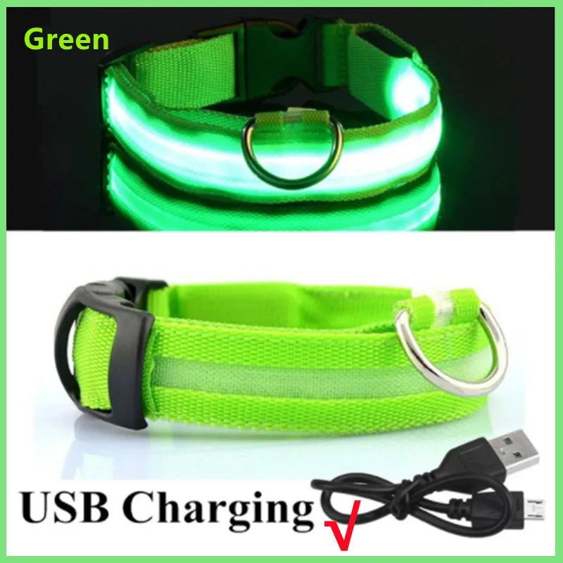 USB Rechargeable LED Glowing Pet Collar