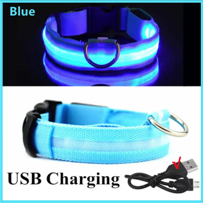 USB Rechargeable LED Glowing Pet Collar