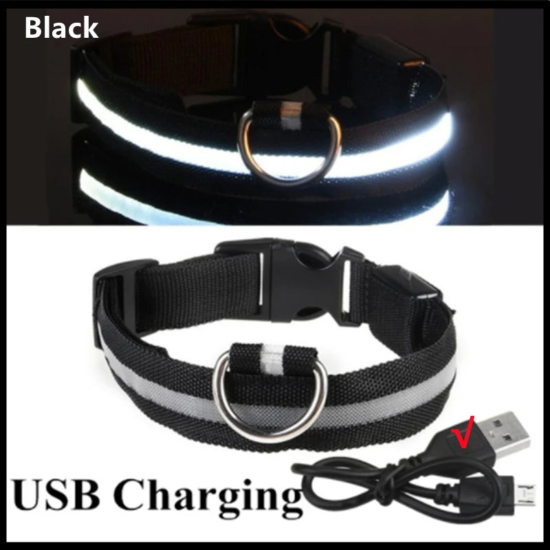 USB Rechargeable LED Glowing Pet Collar