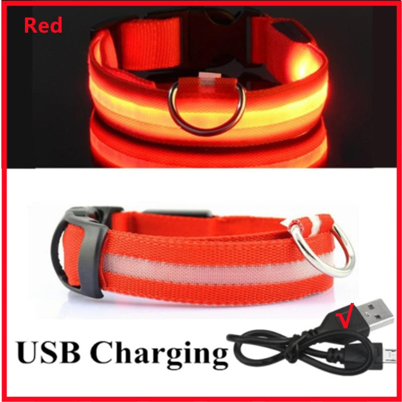 USB Rechargeable LED Glowing Pet Collar