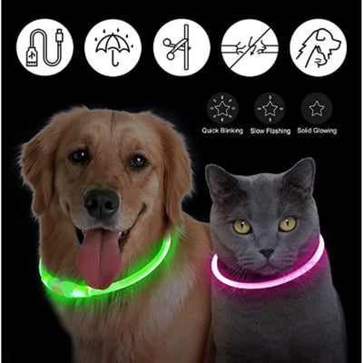 USB Rechargeable LED Glowing Pet Collar