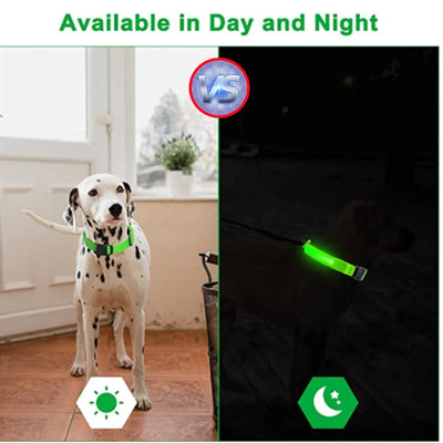 USB Rechargeable LED Glowing Pet Collar