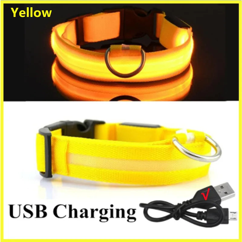 USB Rechargeable LED Glowing Pet Collar