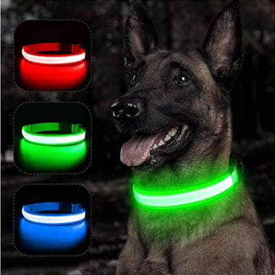 USB Rechargeable LED Glowing Pet Collar