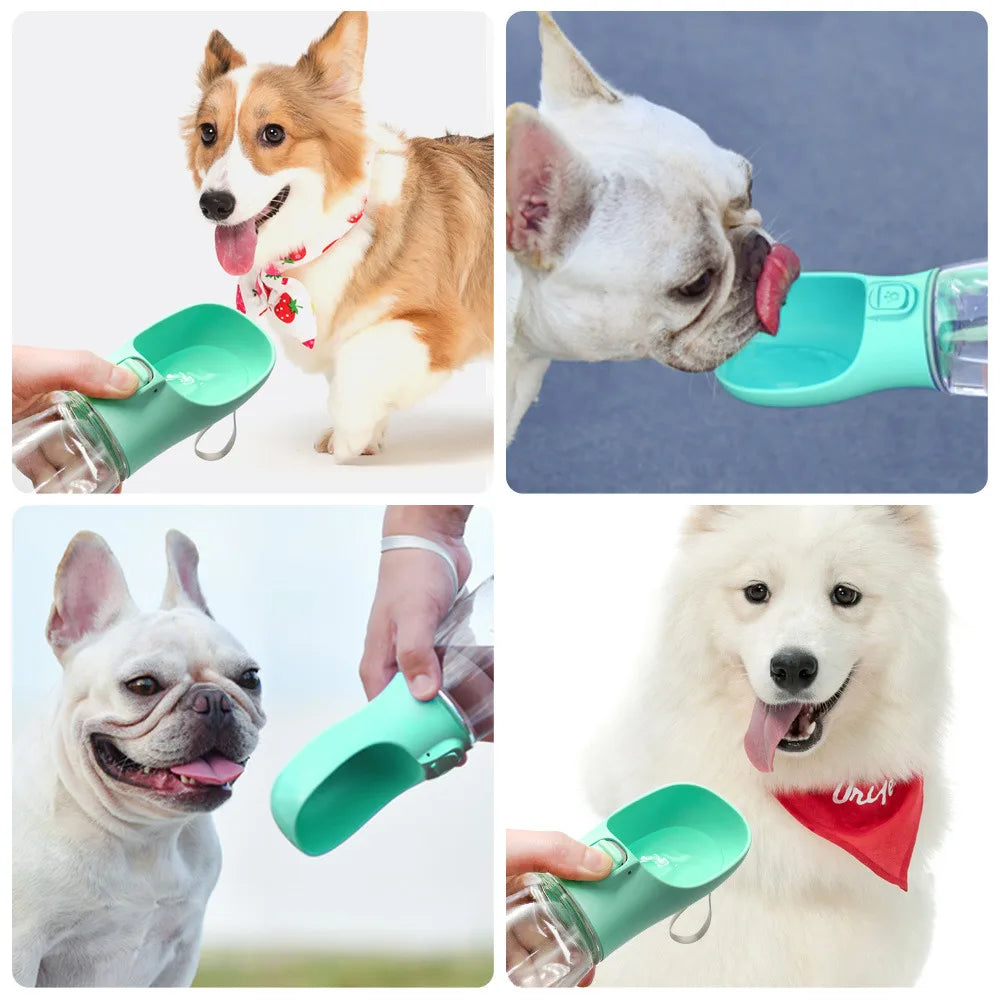 Portable Dog Water Bottle & Feeder Bowl