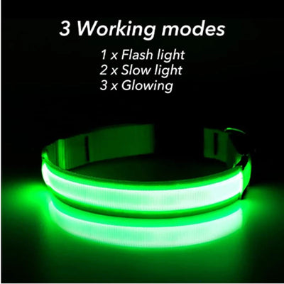 USB Rechargeable LED Glowing Pet Collar