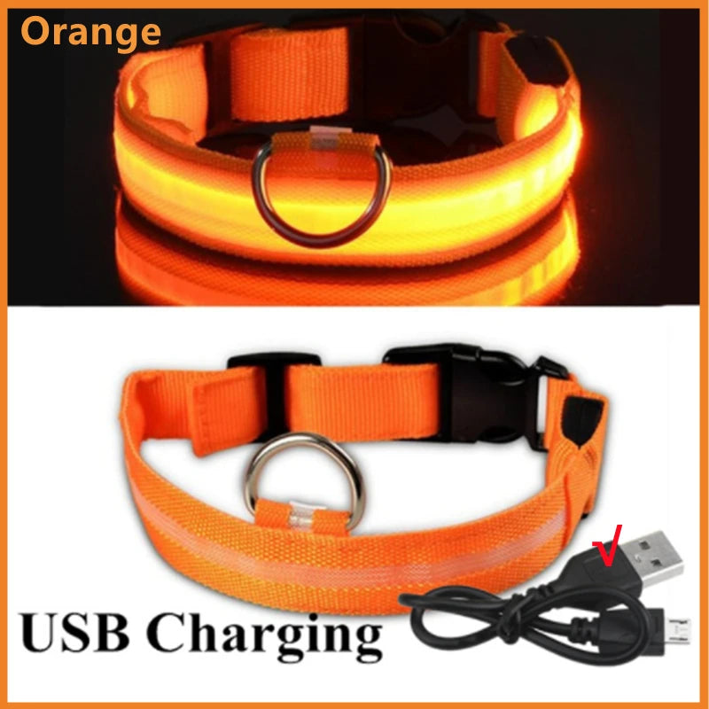 USB Rechargeable LED Glowing Pet Collar