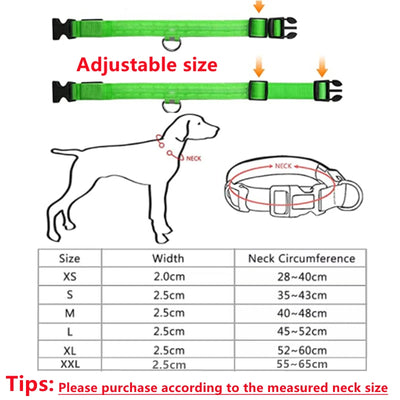 USB Rechargeable LED Glowing Pet Collar